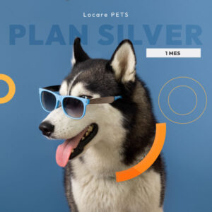 Locare Plan Pets Silver