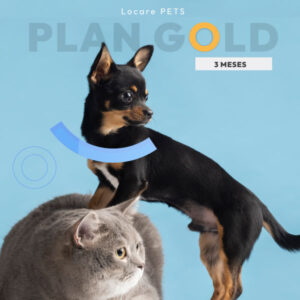 Locare Plan Pets Gold