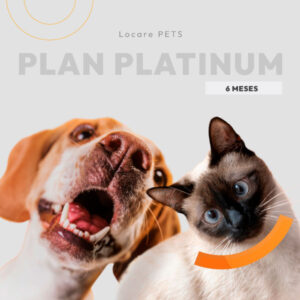 Locare Plan Platinum Pets